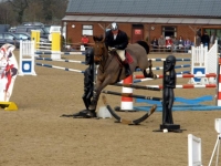 showjumping3