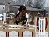 showjumping4